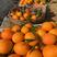 《农户自产自销》奉节橙子种植大户，保证新鲜，看货摘果
