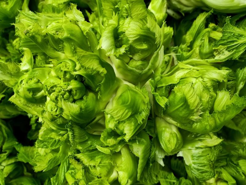 儿菜清秀亮仔大蕊小蕊崇州市儿菜