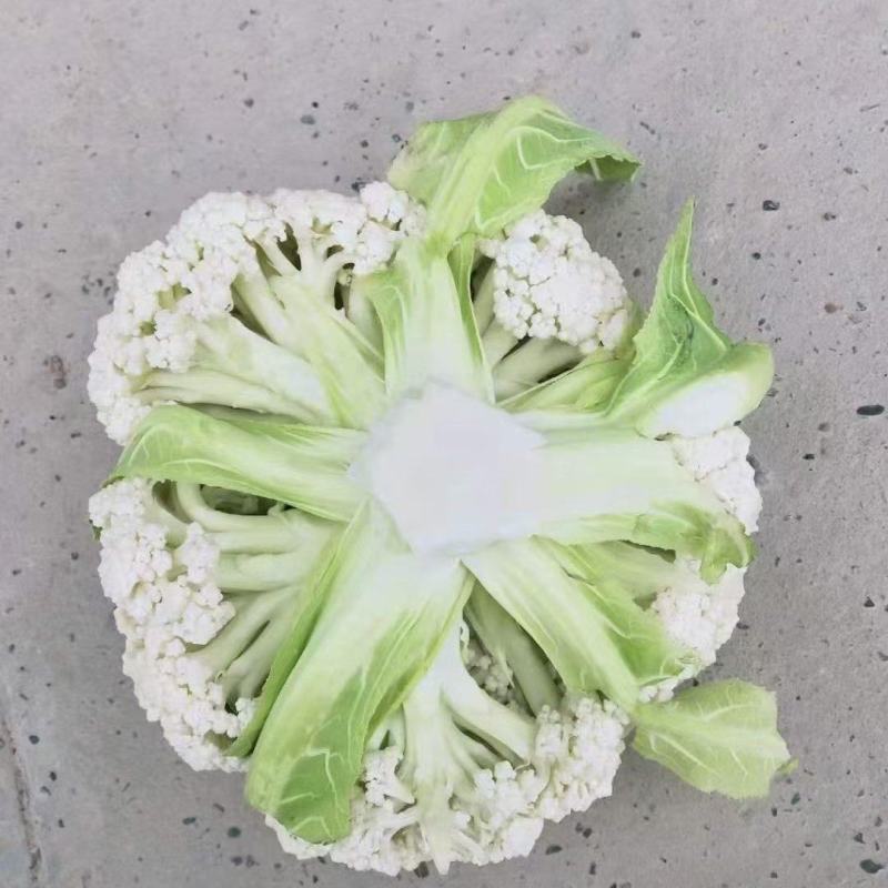 【推荐】菜花散花有机花菜大量供应基地直发货源充足