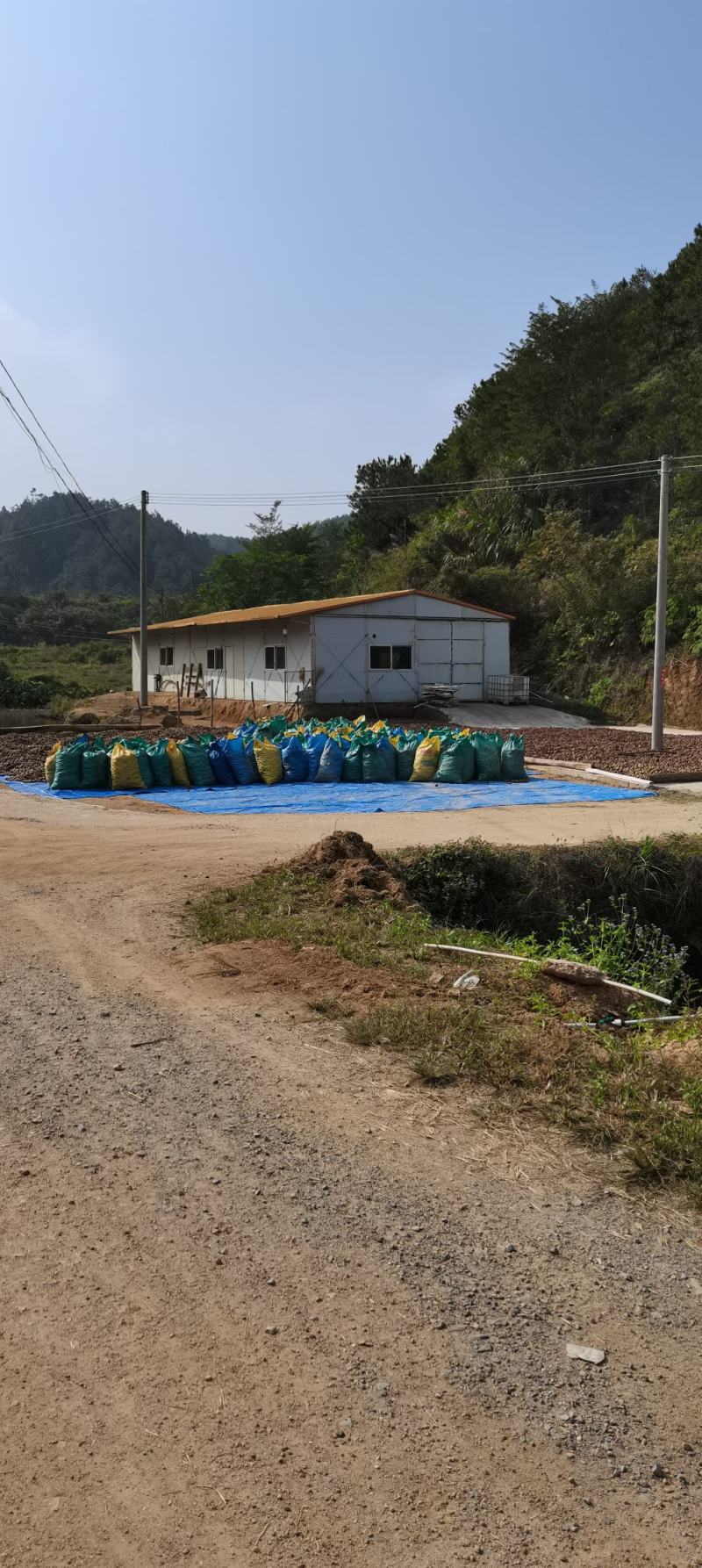 山茶油，山茶籽