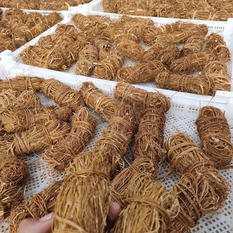 长期加工五指毛桃干货，干节干片小扎把大扎把长期加工大量有