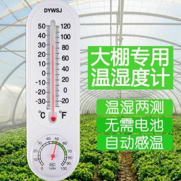 高精度温度计温湿度计室内家用精准壁挂式室温计干湿度计温湿