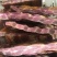 恩施腊肉年货礼盒原味麻辣香肠腊肉后腿肉排骨腊猪蹄