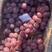 巨峰葡萄，串大珠大，多种价位，多种规格礼盒