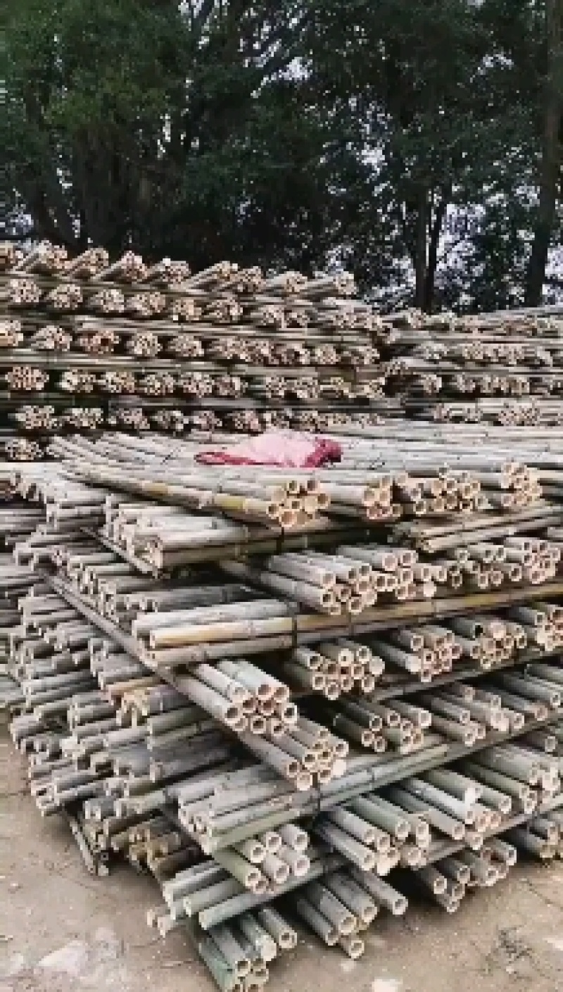 河南濮阳范县竹竿批发市场