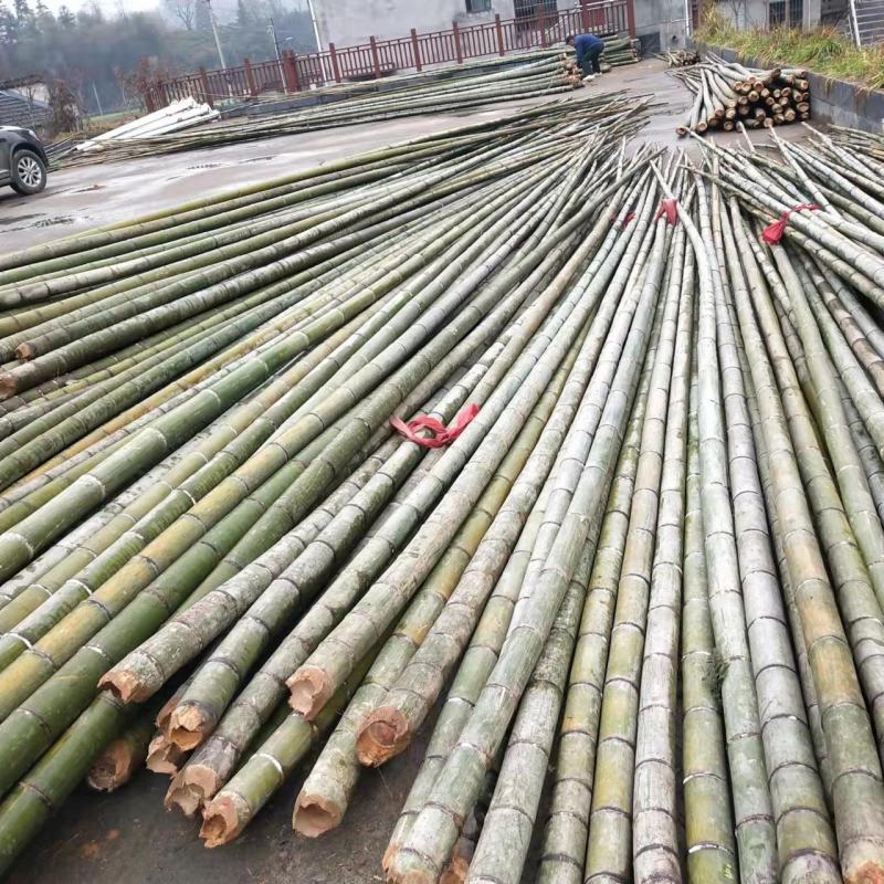 河南濮阳范县竹竿批发市场