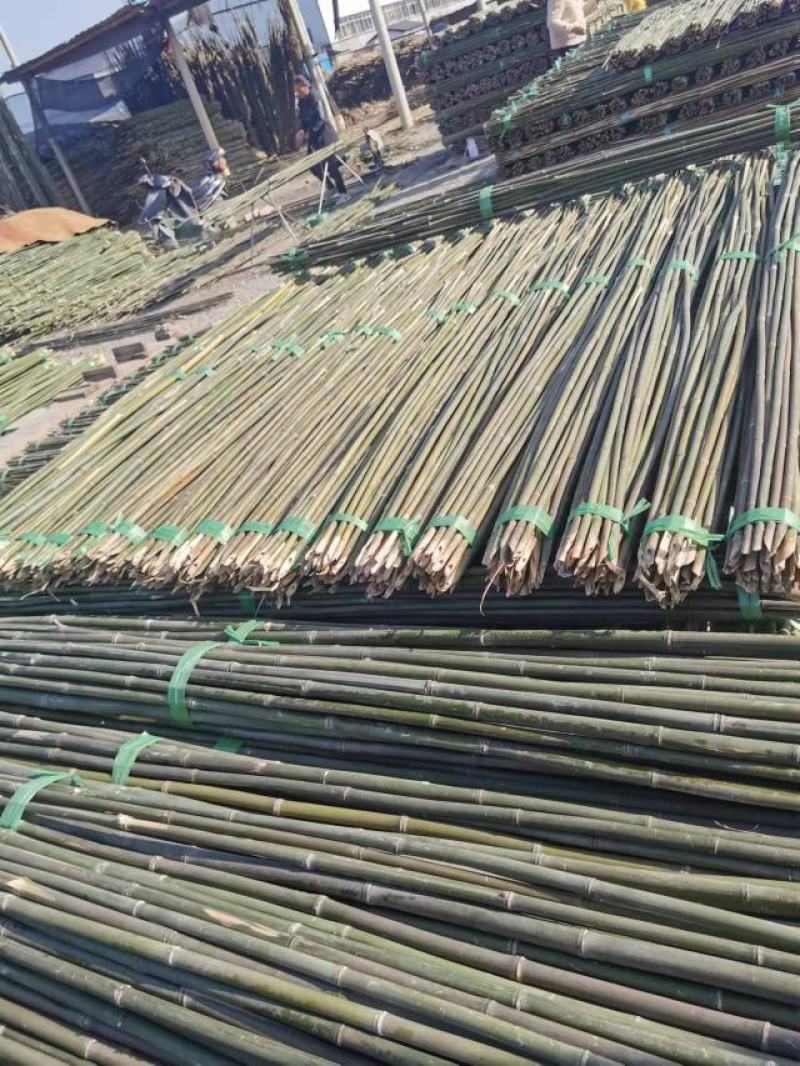 河南濮阳范县竹竿批发市场
