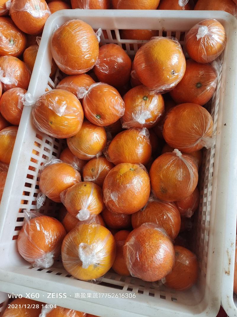 湖南麻阳纽荷尔大量供应【批发商社区电商**】