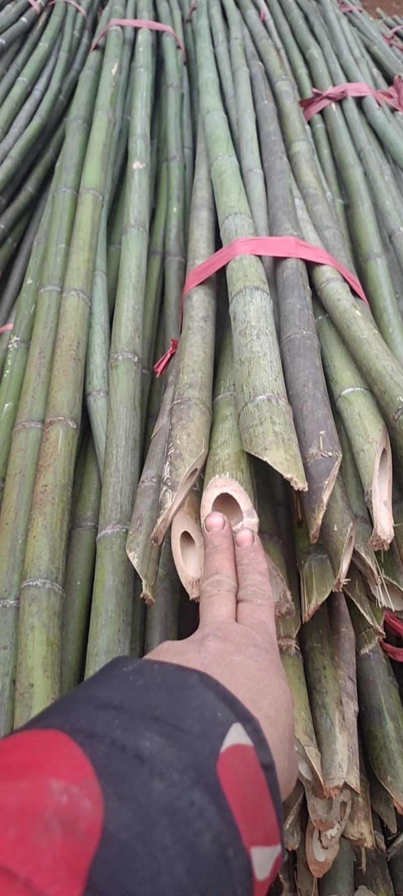 48枝装精品麻竹，可用做西红柿，黄瓜，圣女果架，冬瓜架