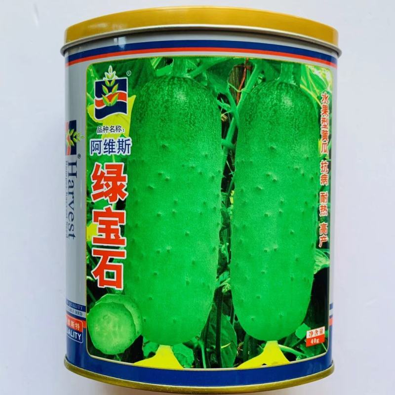 连续结瓜绿宝石水果黄瓜种子高产抗病耐热黄瓜早熟品种