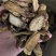 肉苁蓉切片鲜干片沙漠人参中药材泡酒料精品