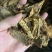 肉苁蓉切片鲜干片沙漠人参中药材泡酒料精品