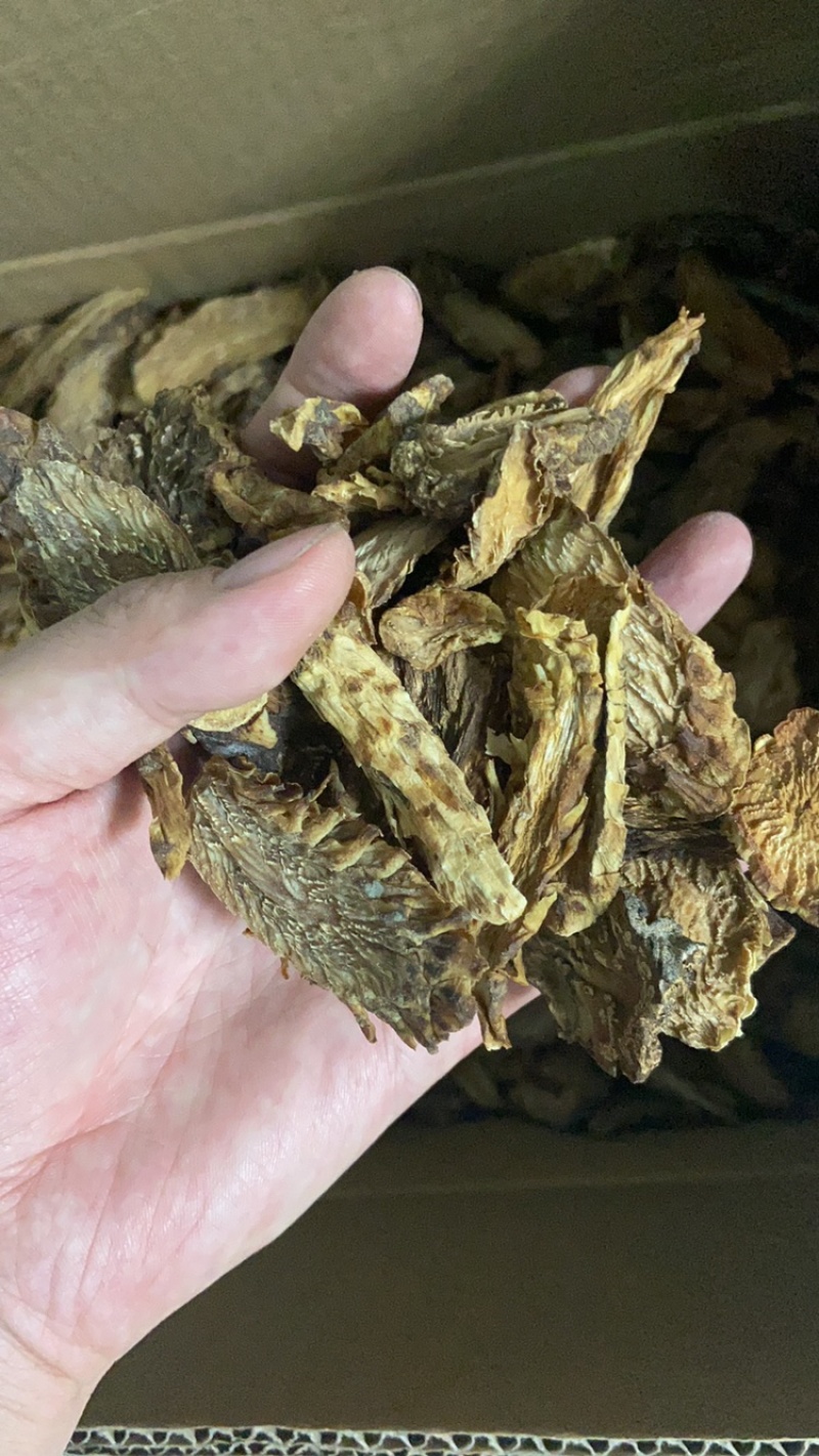 肉苁蓉切片鲜干片沙漠人参中药材泡酒料精品