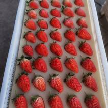 济南奶油草莓