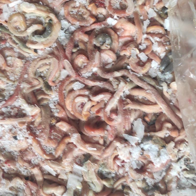 小肉鸡鸡肠，三黄鸡肠养鱼用质量好，纯干无水诚信经营