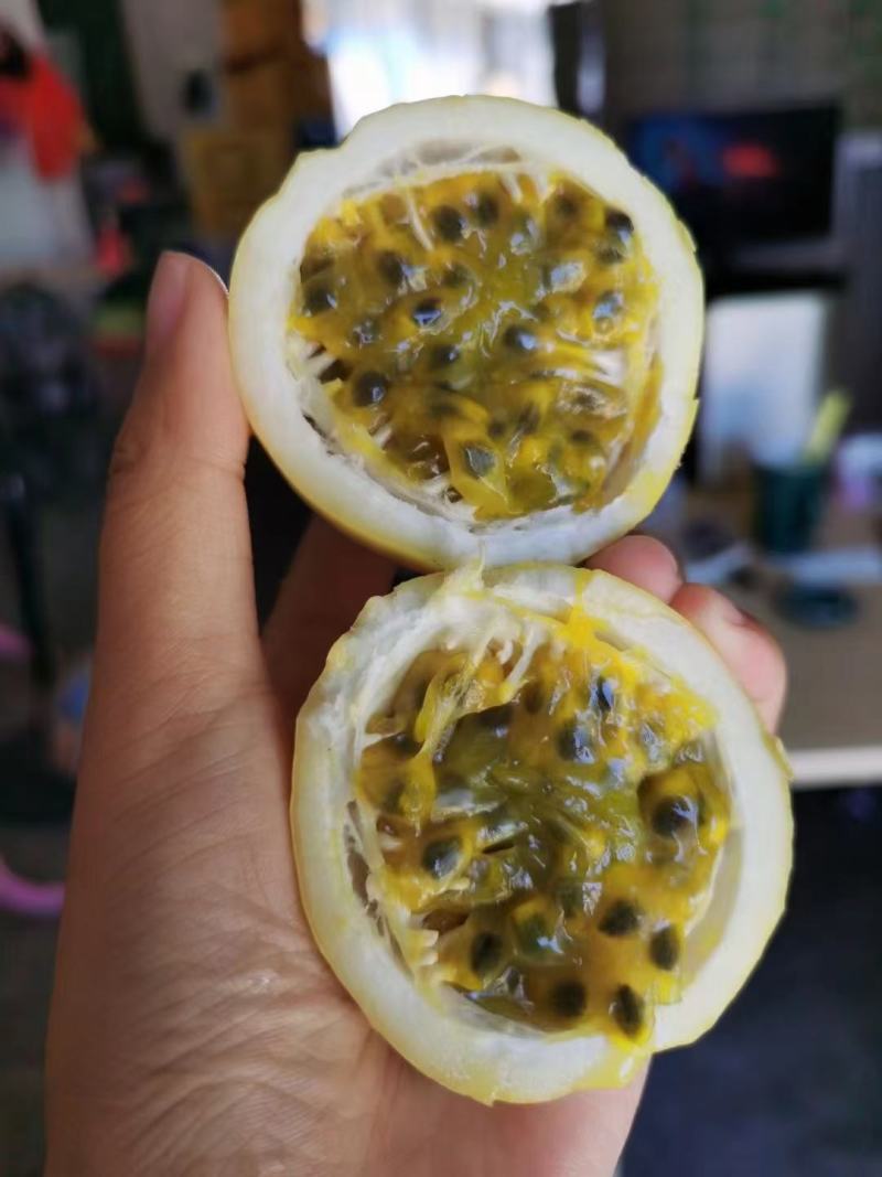 黄金百香果口感好甜度够