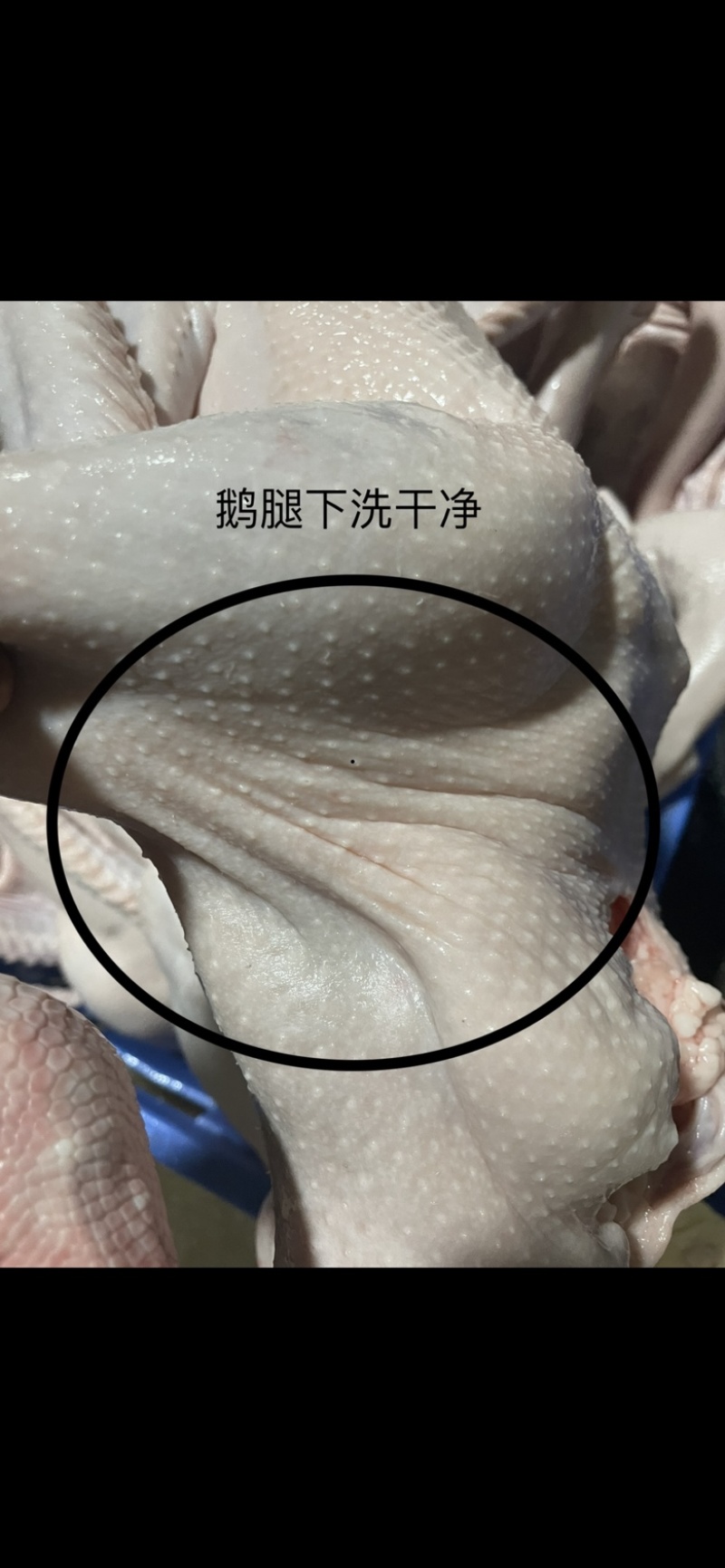 狮头鹅带鹅掌鹅翅全鹅狮头鹅翅冷冻鹅翅膀鹅肉新鲜