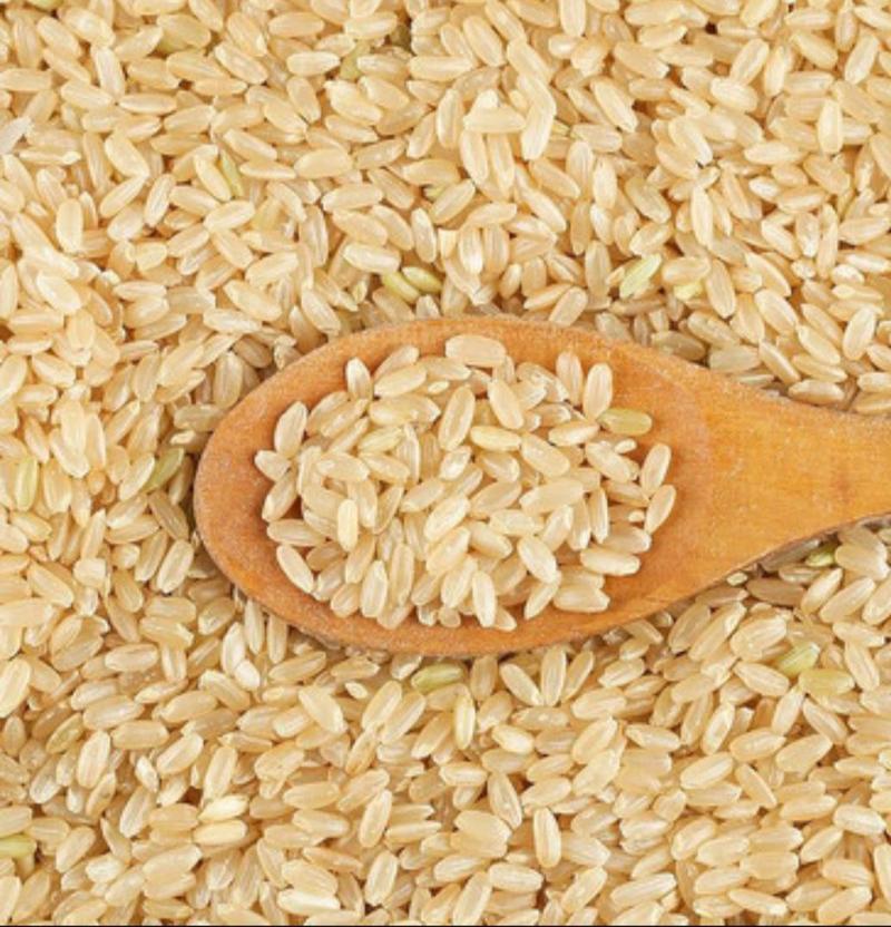 今年东北新糙米货源新鲜