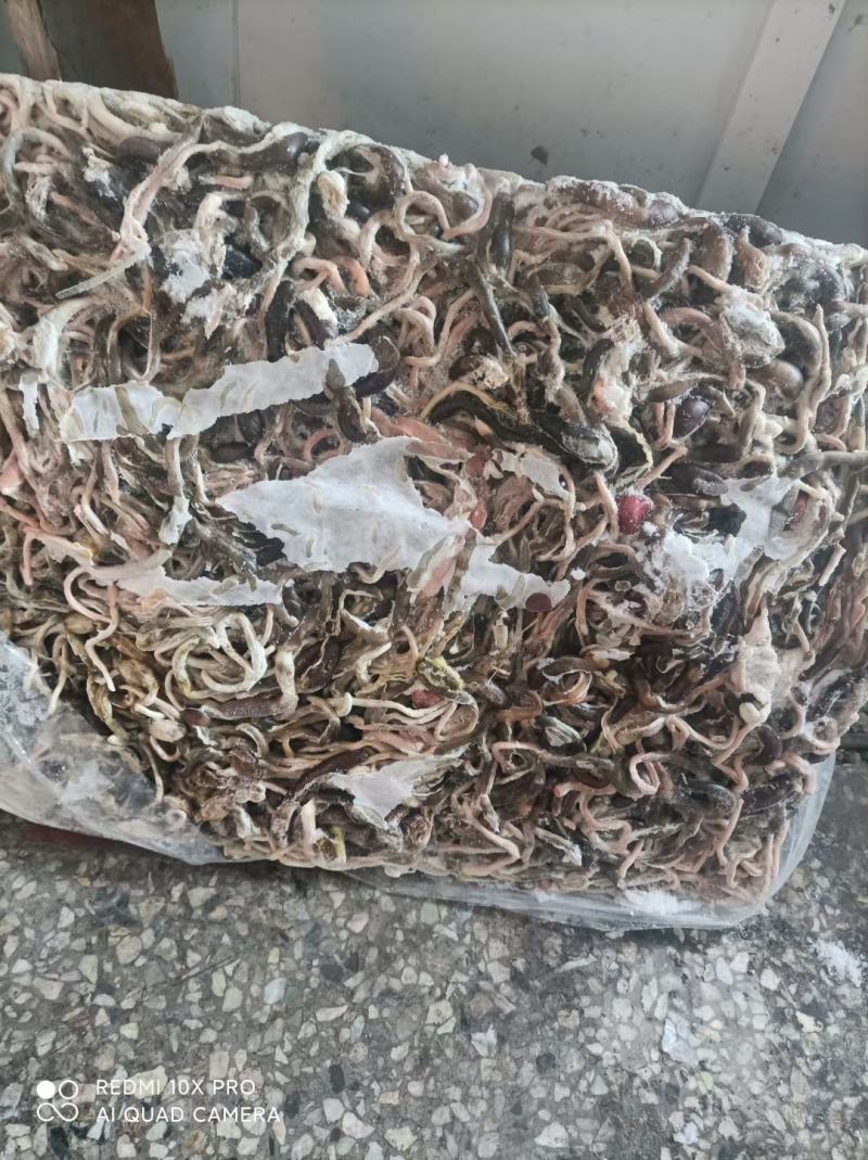 鸭黑肠，大厂货质量好价格优，常年为广大养鱼基地供货
