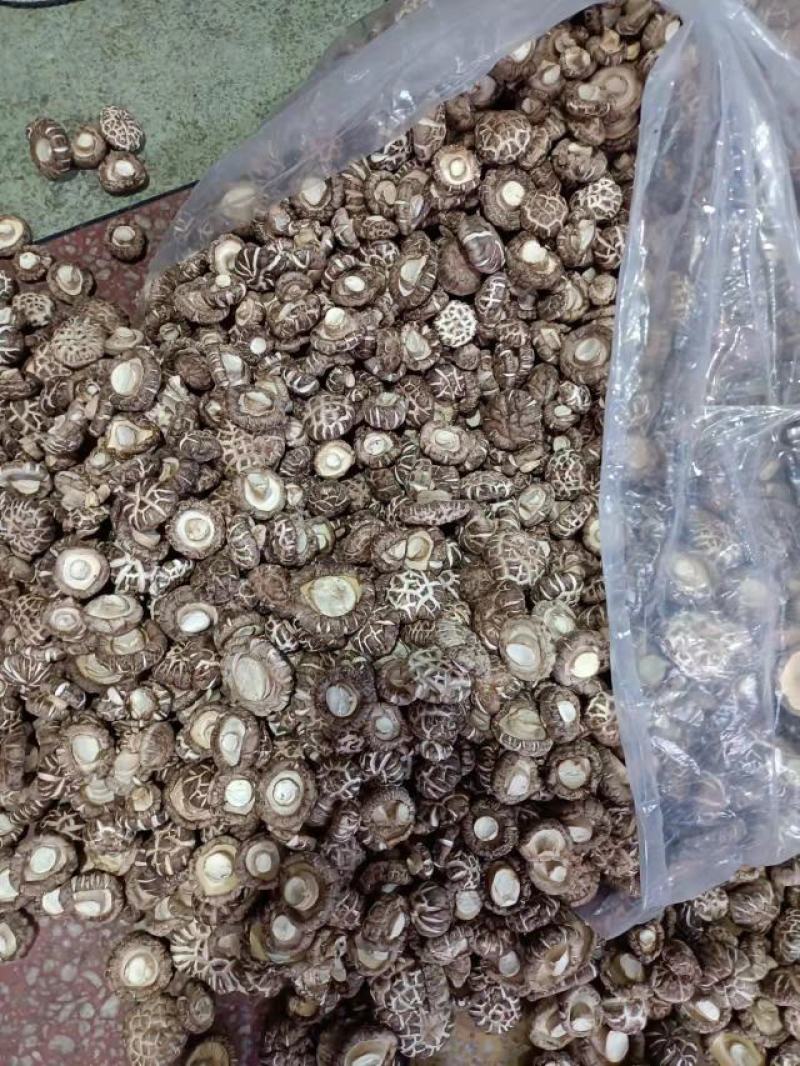 花菇2022年新货花菇食用菌干货批发