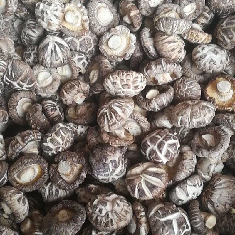 花菇2022年新货花菇食用菌干货批发