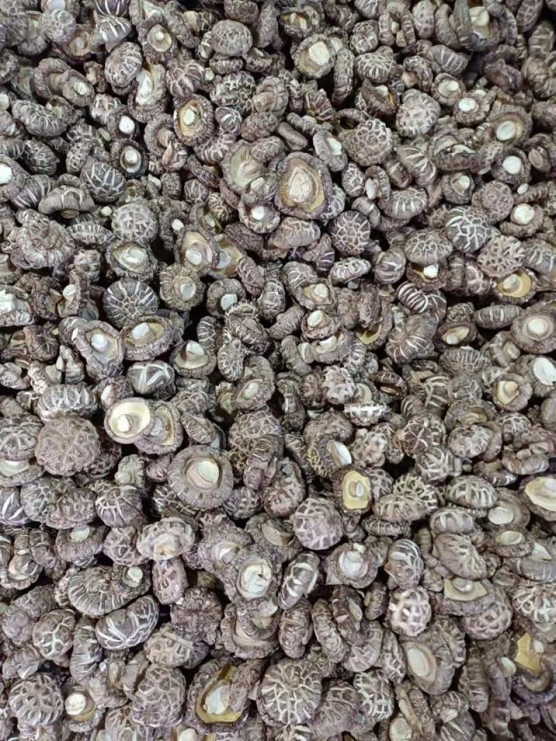 《花菇》新货花菇精选农家花菇香菇250g/500g花菇