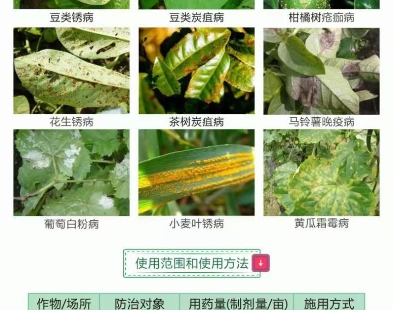 悦联75%百菌清蓝粉果树黄瓜白粉病霜霉炭疽叶斑病杀菌