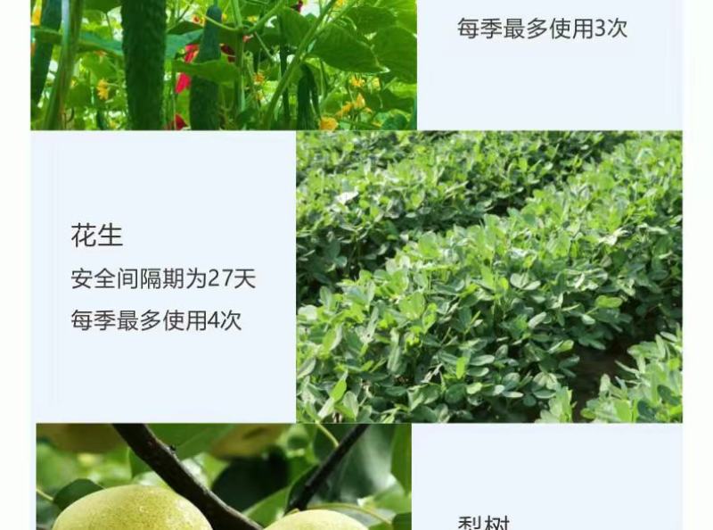 悦联75%百菌清蓝粉果树黄瓜白粉病霜霉炭疽叶斑病杀菌