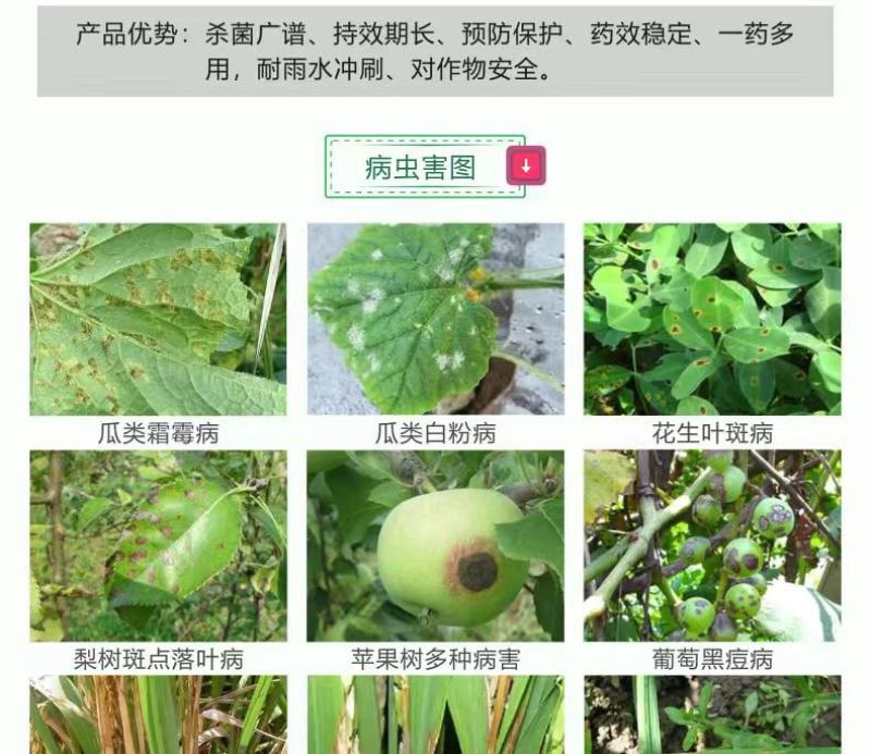 悦联75%百菌清蓝粉果树黄瓜白粉病霜霉炭疽叶斑病杀菌