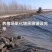 生产定制多规格水产养殖防渗膜藕池HDPE防渗膜复合土工膜