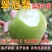 【现挖现发】翠冠梨苗,苗保证品种,提供技术服务