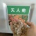 天人菊花种籽子四季易种多年生六月菊宿根虎皮菊种子庭院绿化