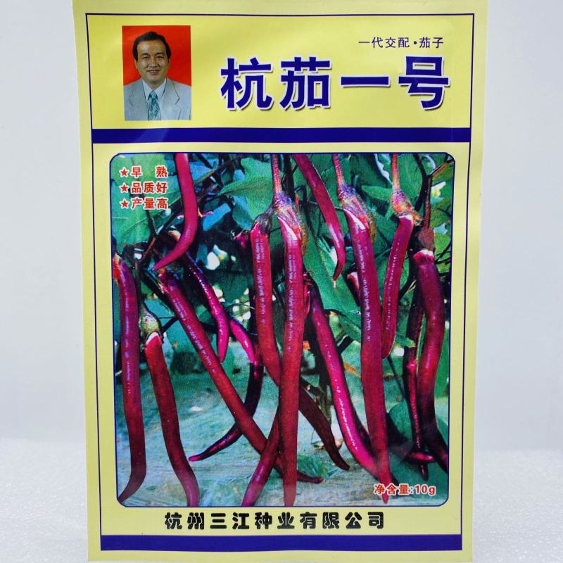 杭州红茄茄子种子紫色长茄子阳台种菜大棚种植家庭园艺四季秋