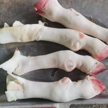 一斤3个的绵阳蹄，质量新鲜，没有毛咋，全是新货，欢迎采购