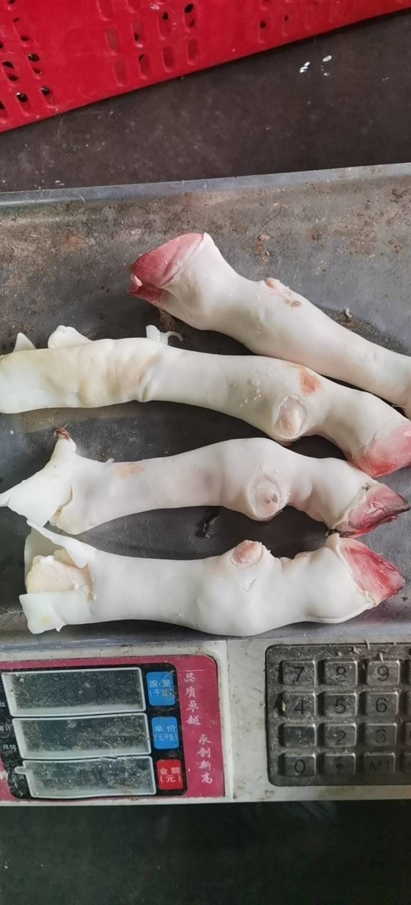 一斤3个的绵阳蹄，质量新鲜，没有毛咋，全是新货，欢迎采购