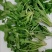 【5斤35元包邮】现挖新鲜野生荠菜野菜野生菜