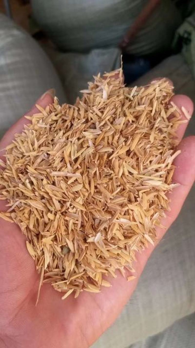 压缩稻壳