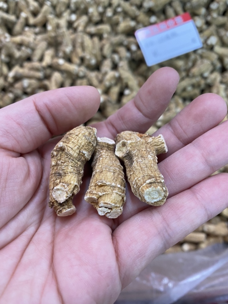 西洋参西洋参粒头各种规格产地直销一件代发