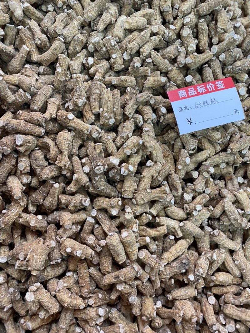 西洋参西洋参粒头各种规格产地直销一件代发