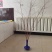 [热卖]辽宁铁岭雪柳种苗干枝雪柳喷雪花产地直发
