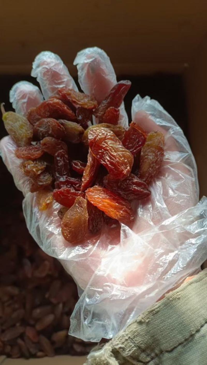 电商对接平台绿香妃，红香妃葡萄干新疆哈密特产农家自产自销