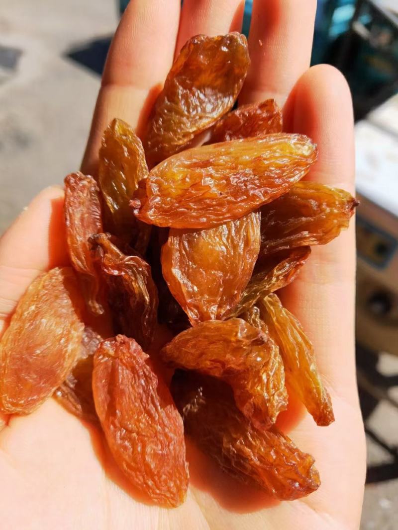 电商对接平台绿香妃，红香妃葡萄干新疆哈密特产农家自产自销