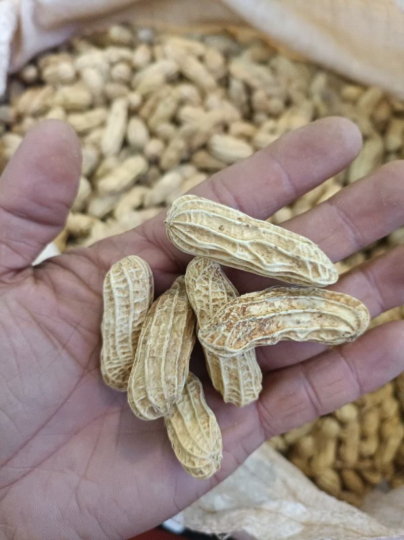 花生七彩花生越南七彩花生一手货源按对应的数量下单