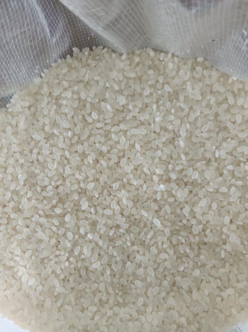 东北大米现磨大米圆粒型煮饭做粥2.5Kg5斤包邮