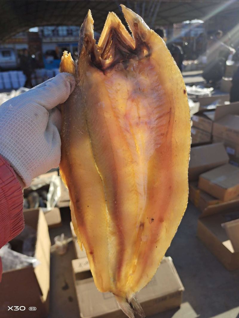 香梭鱼！咸鱼干开背去内脏！1件35/37斤左右！一手货源
