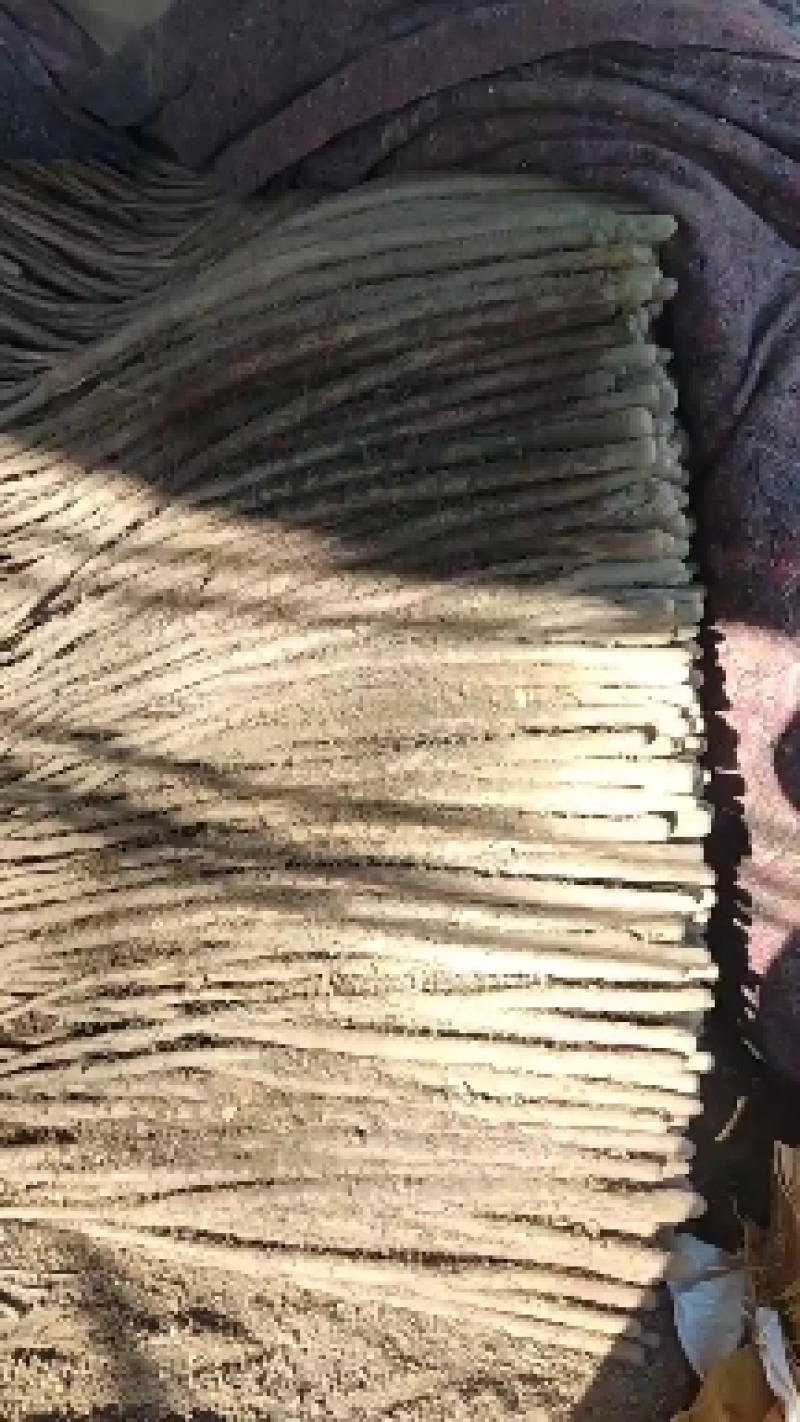 沙土地铁棍山药，质黄色正，囗感细腻，糯香。
