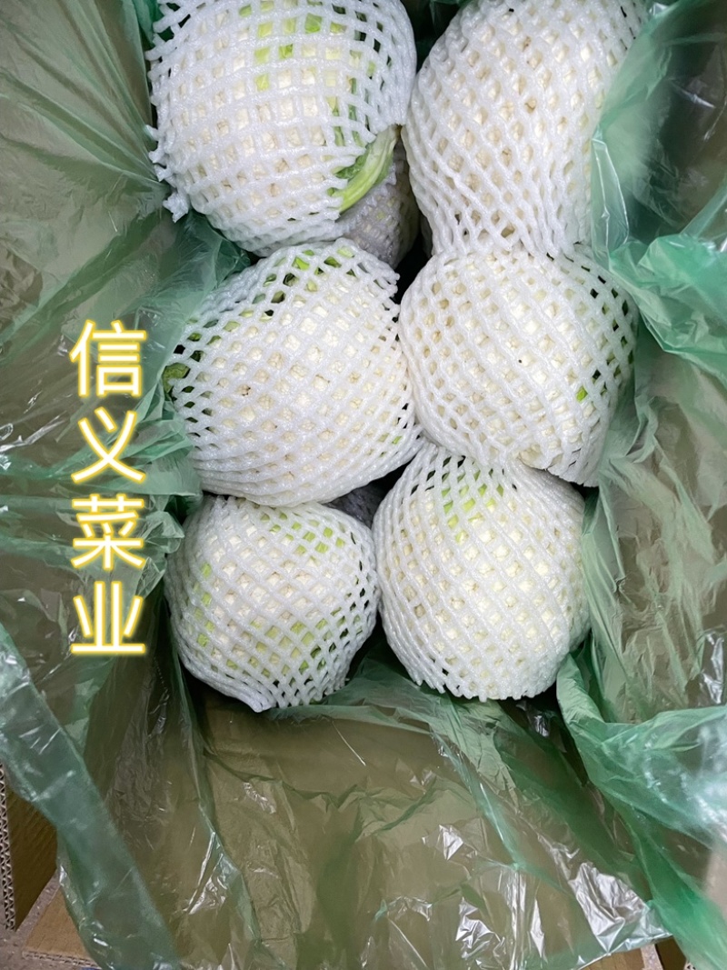 云南小白花