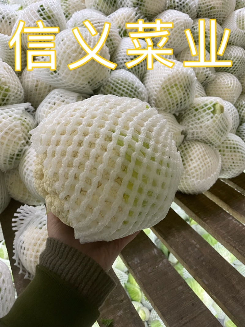 云南小白花