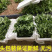 【5斤25元包邮】新鲜冰草沙拉菜冰叶