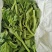 【5斤25元包邮】新鲜冰草沙拉菜冰叶